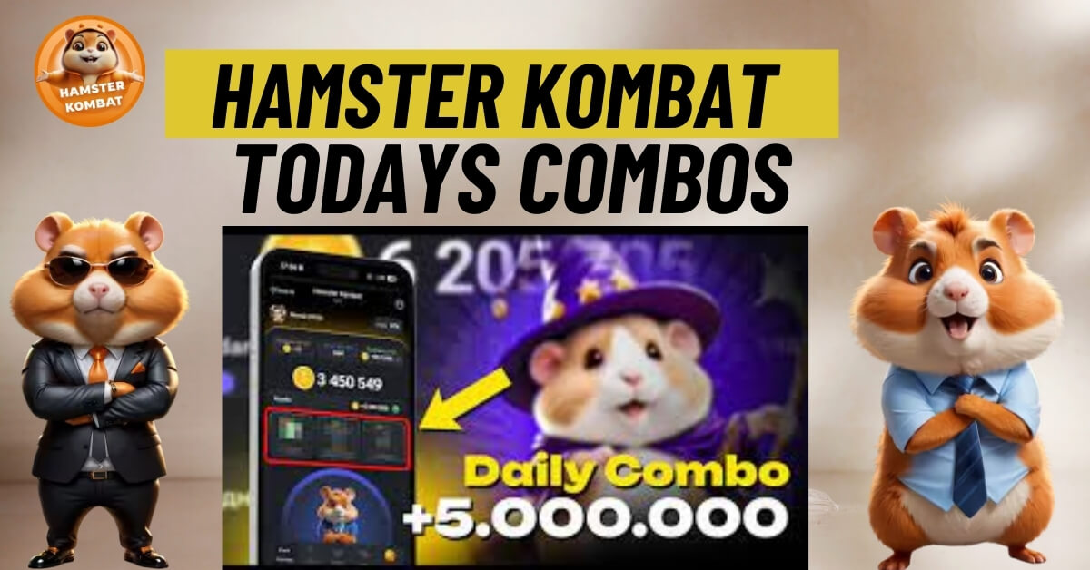 What is Hamster Kombat - Daily Combos Explained