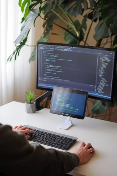 imgi_14_developer-is-coding-using-screen-tablet-freelancer-is-working-from-home-home-office-with-plant_125565-43